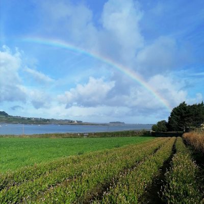 ARC EN CIEL